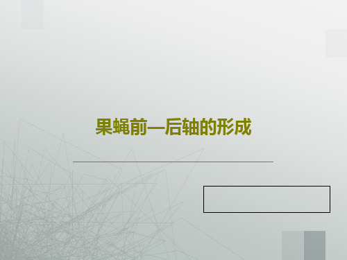 果蝇前—后轴的形成共34页文档