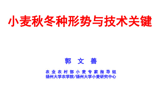 小麦秋冬种形势与技术关键-扬州大学农学院郭文善