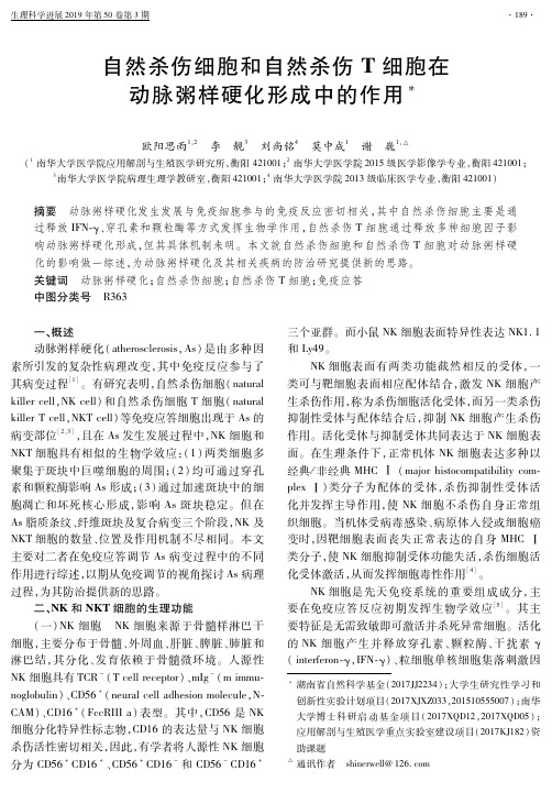 自然杀伤细胞和自然杀伤T细胞在动脉粥样硬化形成中的作用