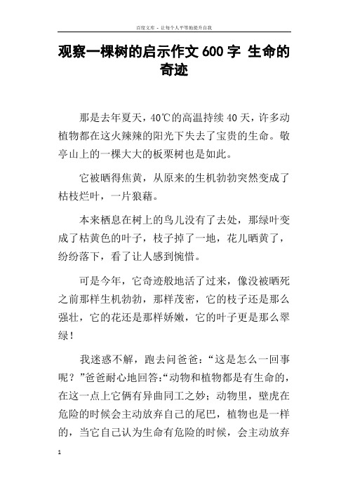 观察一棵树的启示作文600字生命的奇迹