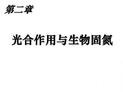 高三生物光合作用与生物固氮3