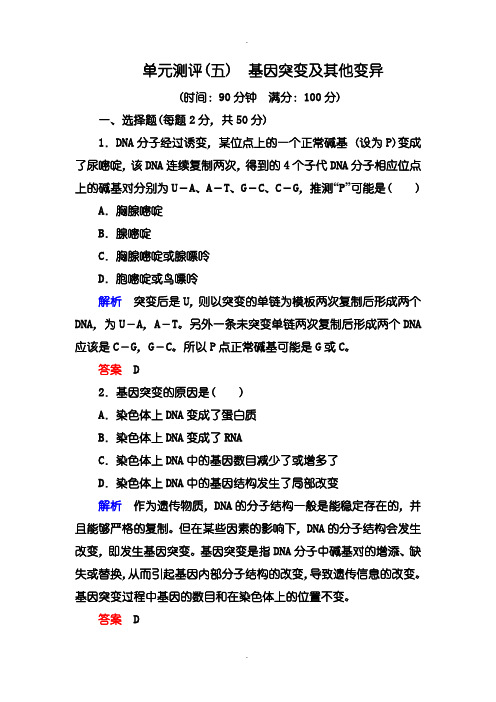 人教版高一生物必修2单元测评：5单元测评 基因突变及其他变异含答案