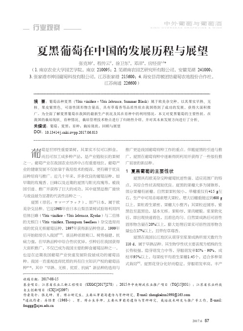 夏黑葡萄在中国的发展历程与展望