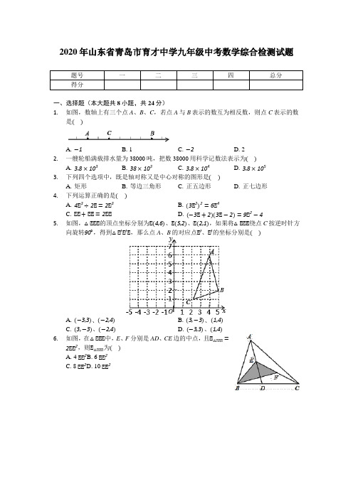山东省青岛市育才中学2019-2020学年九年级中考数学综合检测试题