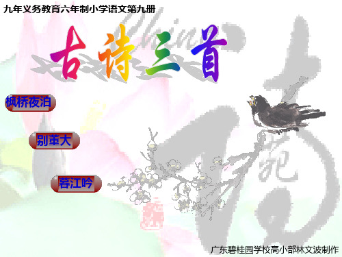 广东碧桂园学校高小部林文波制作教学文稿