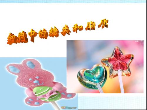 人教版高中生物必修一2.4《细胞中的糖类和脂质》课件(共46张PPT)