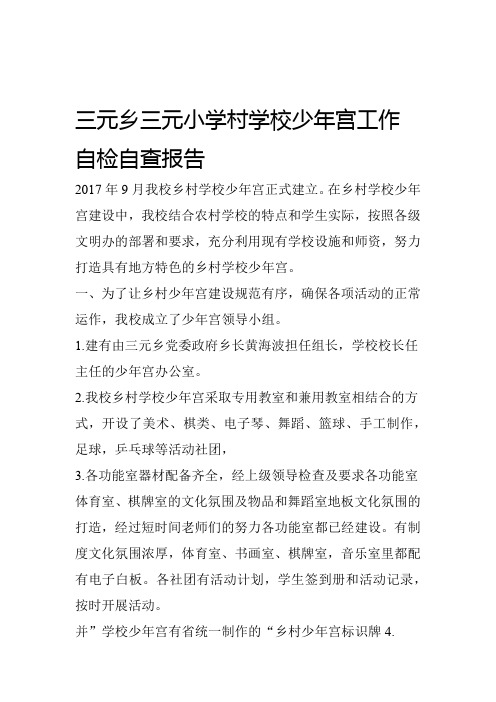 乡村学校少年宫工作自检自查报告