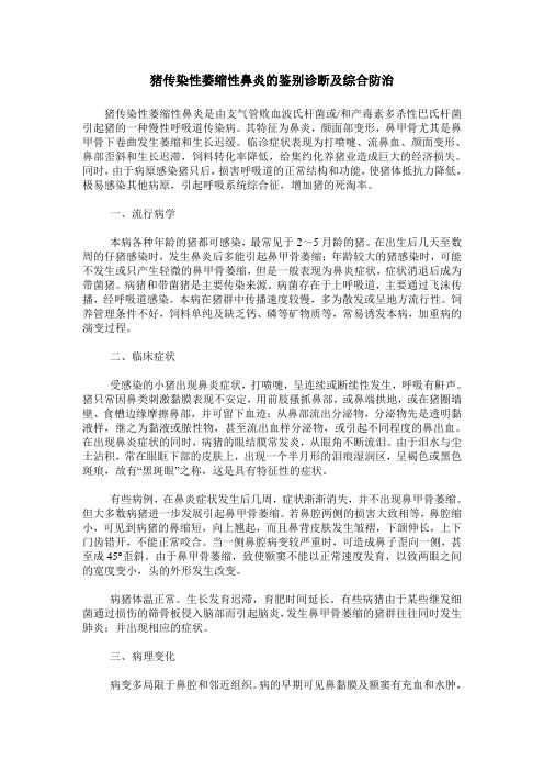 猪传染性萎缩性鼻炎的鉴别诊断及综合防治
