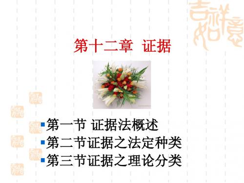 第12-13章   证据 证明