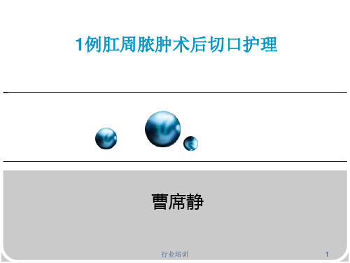 一例肛周脓肿术后换药个案[荟萃精制]