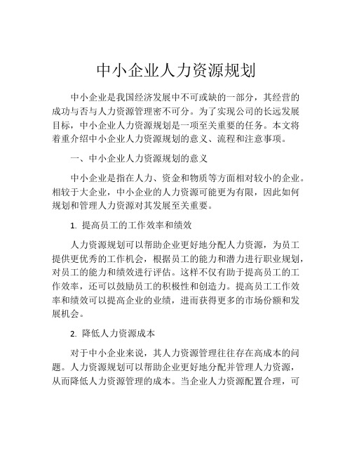 中小企业人力资源规划