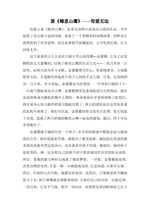 读《梅里山鹰》   ——母爱无边(1000字).docx