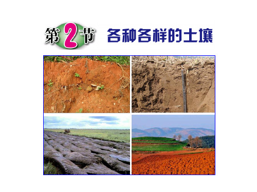 浙教版科学八年级下册4.2各种各样的土壤课件4