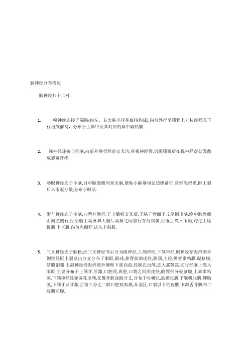 脑神经分布浅述