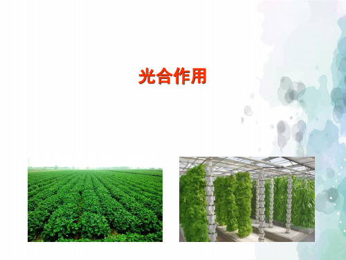 北师大版生物-七年级上册3.5.1 光合作用课件 
