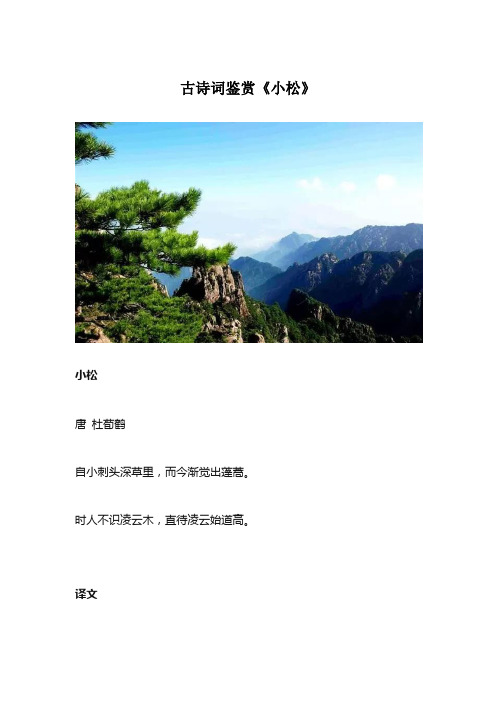 古诗词鉴赏《小松》