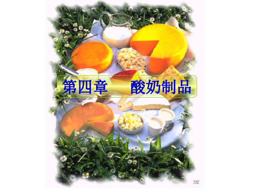 畜产品 第四章酸奶制品