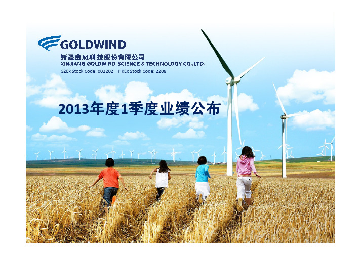 1Q 2013 演示材料