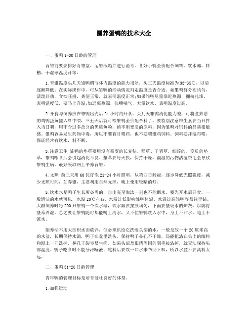 圈养蛋鸭的技术大全