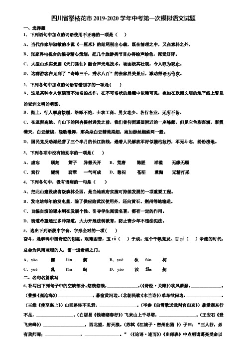 四川省攀枝花市2019-2020学年中考第一次模拟语文试题含解析