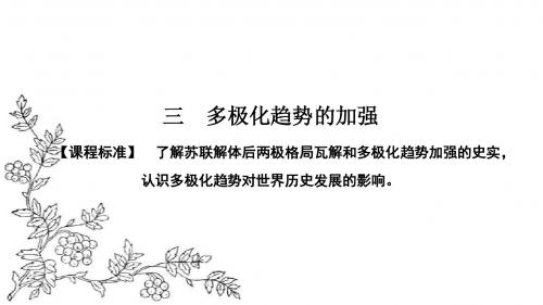 2016—2017学年(人民版)高中历史必修1课件：专题9 当今世界政治格局的多极化趋势9.3