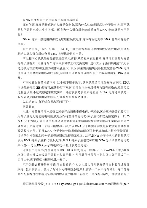 蛋白质电泳课件