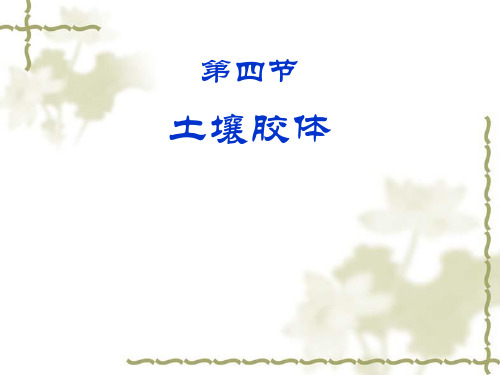 4.第1章第4节土壤胶体