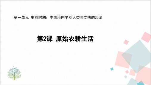 部编人教版七年级(上)历史原始农耕生活课件PPT