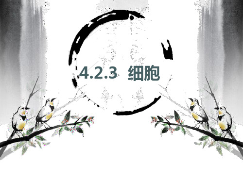 华东师大版初中科学七年级上册细胞