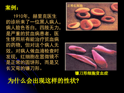 2 基因突变及其机制1