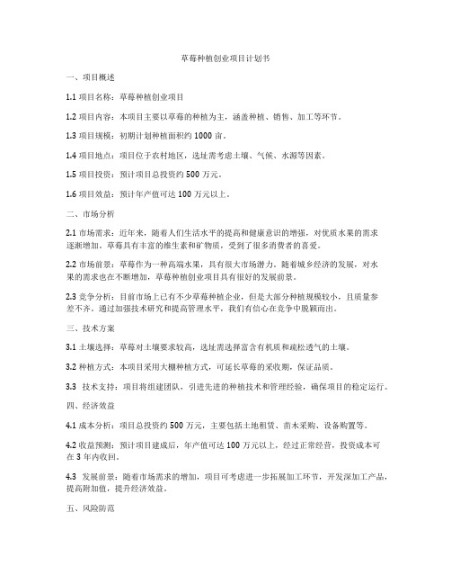 草莓种植创业项目计划书