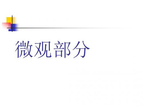 西方经济学原理培训课件(487页全)