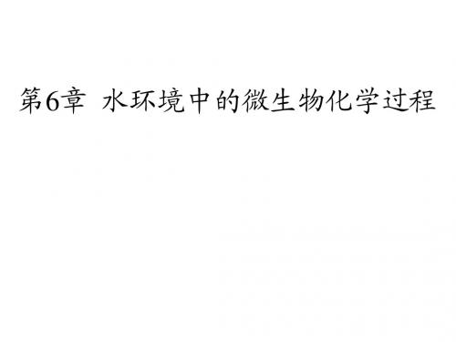 第6章 水环境中的微生物化学过程1