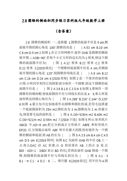 2.8圆锥的侧面积同步练习苏科版九年级数学上册(含答案)