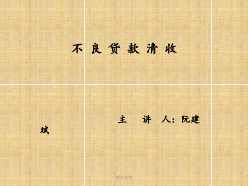 不良贷款清收讲义ppt课件