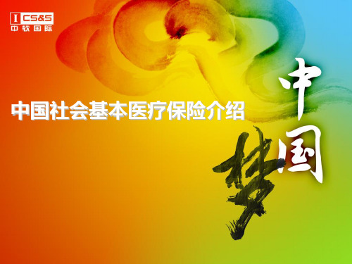 中国基本医疗保险介绍剖析