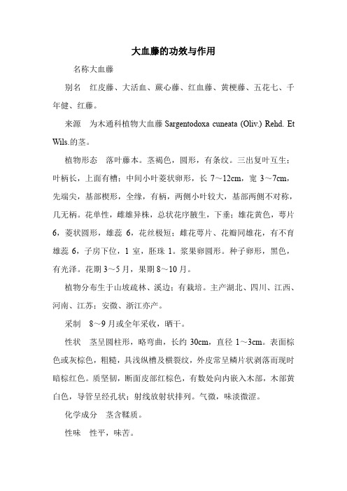新编医药常识大血藤的功效与作用