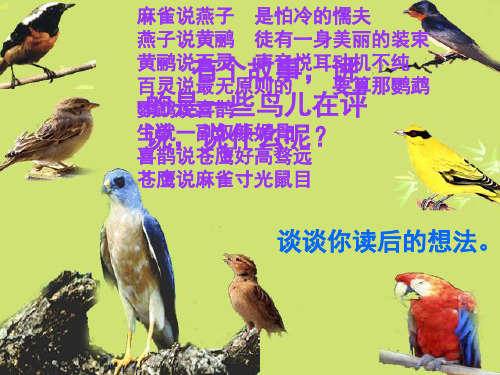 人教版-四年级上册语文28《尺有所短寸有所长》