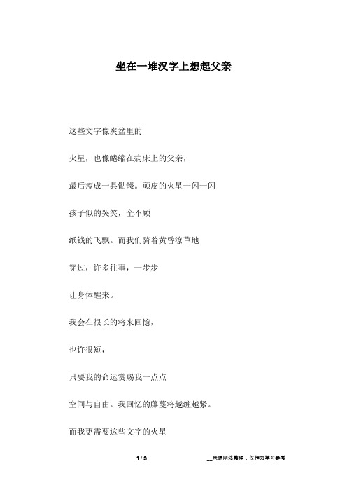 坐在一堆汉字上想起父亲