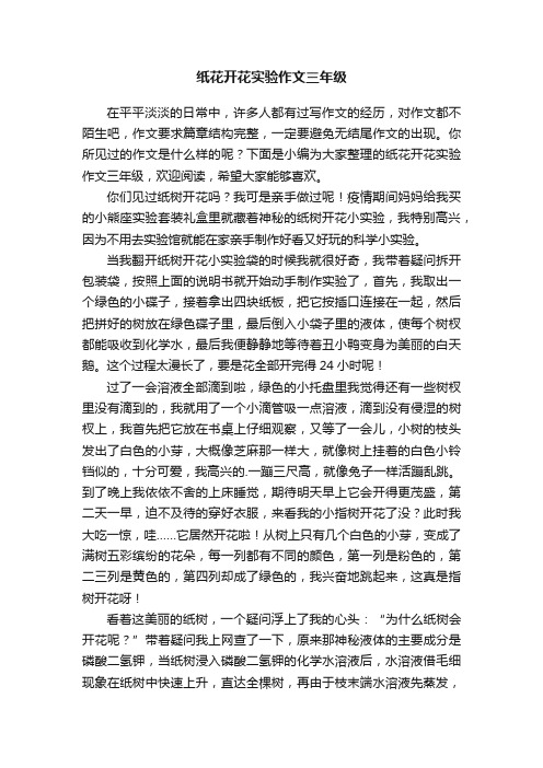 纸花开花实验作文三年级