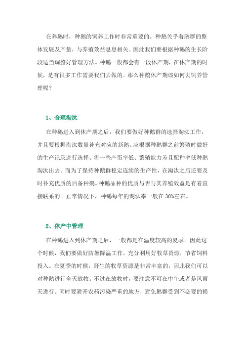 养鹅经验：种鹅休产期的饲养管理