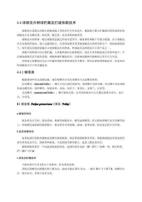 观赏植物采后生理与技术第4节 球根花卉种球贮藏及打破休眠技术