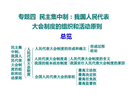 专题四  民主集中制(选修3)