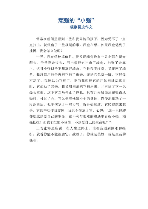 顽强的“小强”_观察昆虫作文