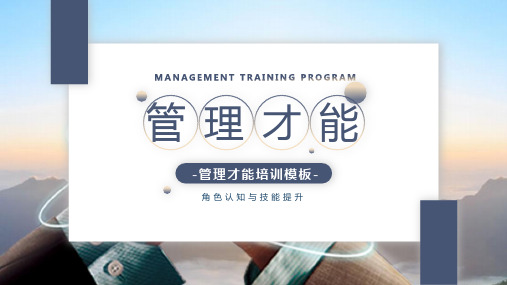 企业管理成功案例ppt课件