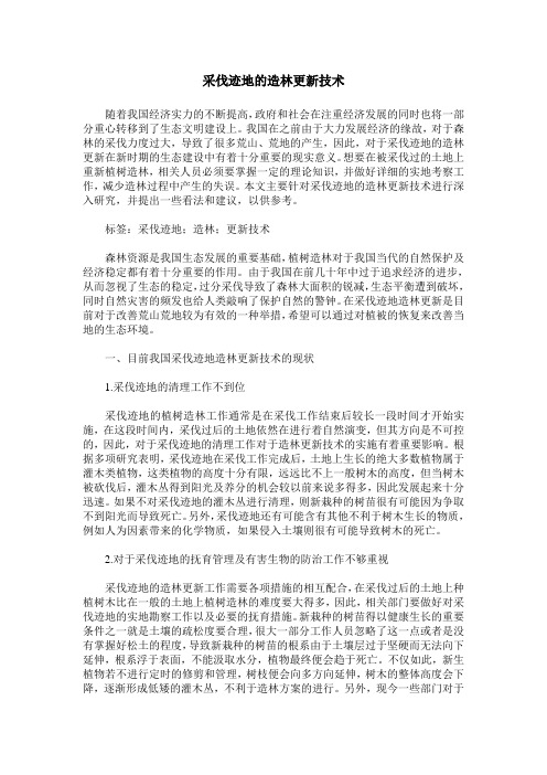 采伐迹地的造林更新技术