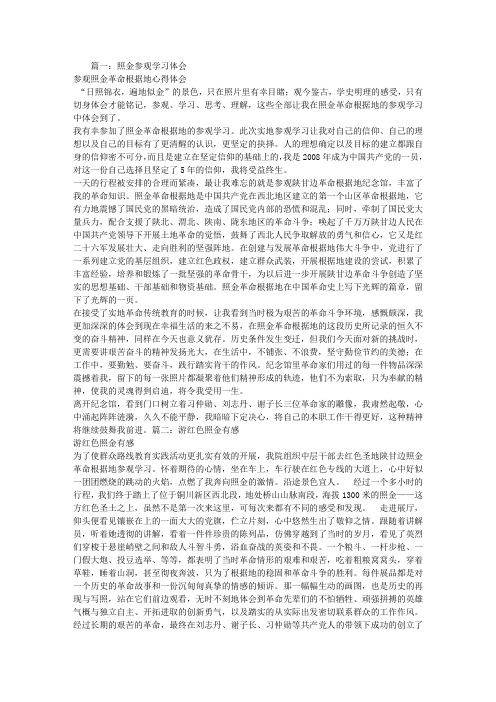 照金学习心得体会
