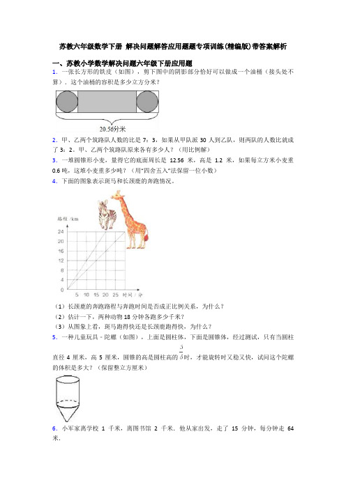 苏教六年级数学下册 解决问题解答应用题题专项训练(精编版)带答案解析