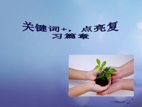 九年级政治上学期期末专题复习国情与国策全国公开课一等奖百校联赛微课赛课特等奖PPT课件