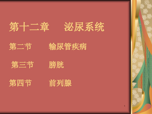 (医药卫生)超声输尿管PPT课件
